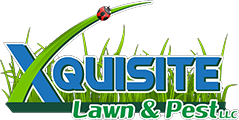 Xquisite Lawn & Pest logo