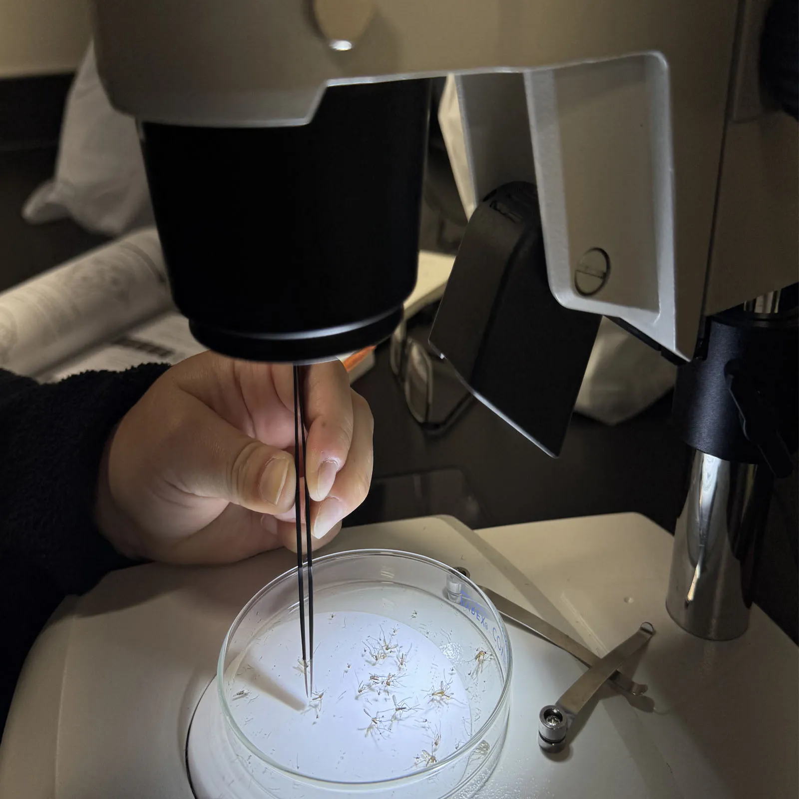 Laboratory testing behind the EPA-registered Thermacell LIV 2.0